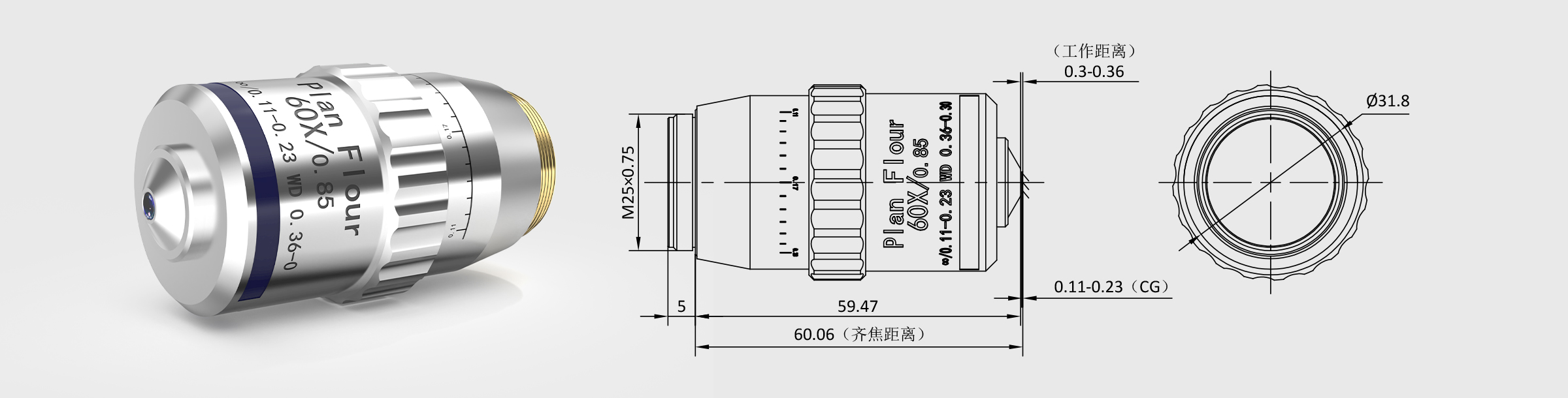 60× 齐焦60mm平场半复消色差生物物镜